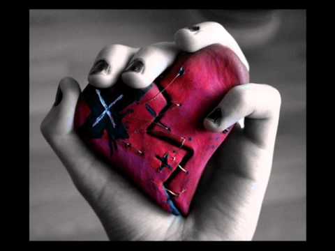 Ai yêu không khổ vì yêu - Phi Nhung