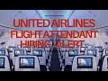United Flight Attendant Hiring Alert ️ January 2026 Flight Attendant Chronicles
