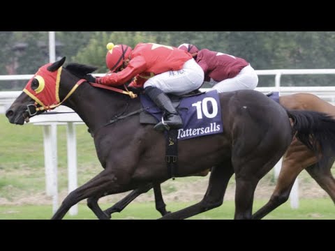 TOMIKO wins the 2024 Oaks d’Italia!