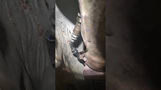 1998-2004 Acura RL bank 1 sensor 1 bank 1 sensor 2 and bank 2 sensor 1
