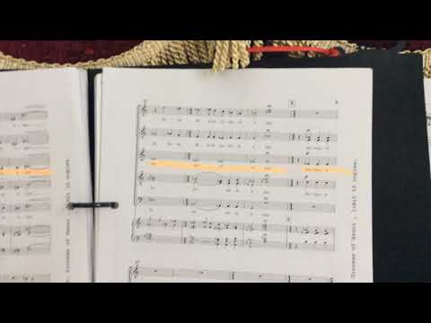 Canticum Novum (Ivo Antognini) - Alto 1