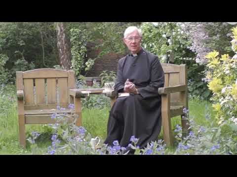 Cat disappears under Priest’s Robe