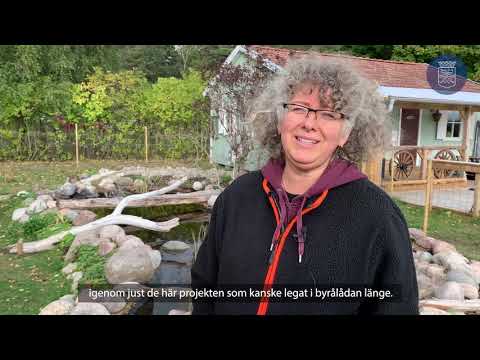 Miljöpeng - Regnvattendamm