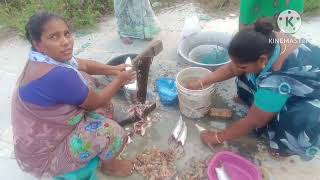 అరటి కాయ చేపలు ఎలా శుభ్రం చేయాలి చూడండి🐠🐠🐠🐠🐠