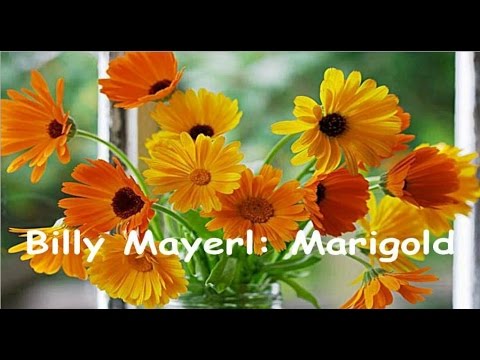 Billy Mayerl: Marigold