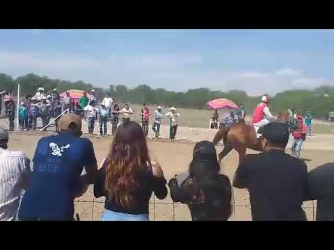 Carril tres castillos Nabegante vs Terrorista vs el no Que no