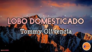 LOBO DOMESTICADO - Tommy Olivencia/ Letra/Salsa/Cali