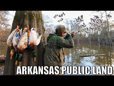 The Best Solo Duck Hunt of My LIFE! Limited out in 9 MINUTES!!