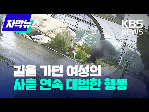 아이콘