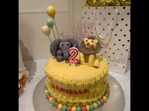 Lovely Designed Cakes Ideas For Celebrations / 5D Cakes and Design Kitchen with FAB