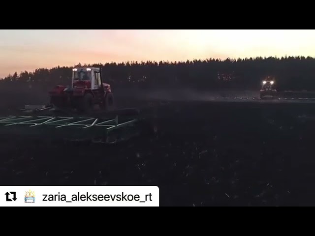 В НП "Алексеевское" организованы сельскохозяйственные работы по закрытию влаги в две смены