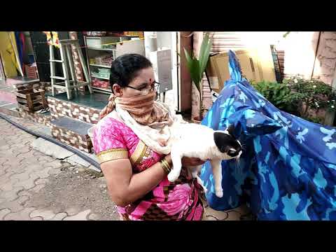 नागपंचमी साठी खास तांदळाच्या पिठाची खीर | Nagpanchami Rice Flour Kheer | Life in a Day 25 July 2020 Video