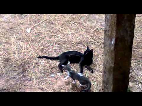 Play of mother and child