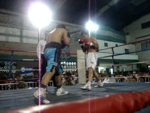 Peleas de Mingo  damigella