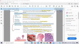 GIT 9-C-Intestinal polyps - CRC -- Ibrahem Gamal -Toxic usmle - شرح المعادلة الامريكية بالعربي