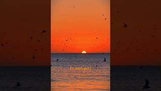 Elaheye Naz ~ Moein                                             روحت شاد دختر زیبا 🕊️🥀#iran #music