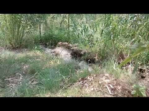 Saiyaara Title Song | Ahaan Panday,Aneet Padda | Tanishk Bagchi,Faheem A,Arslan N |Irshad Kamil