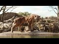 Il Libro Della Giungla Shere Khan Clip Dal Film HD