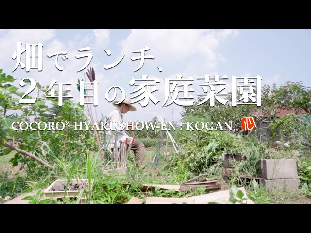 昼めし旅【秋レタス農
