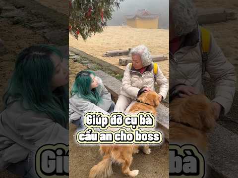 Giúp đỡ cụ bà trên đường đi cầu an cho cún #trending