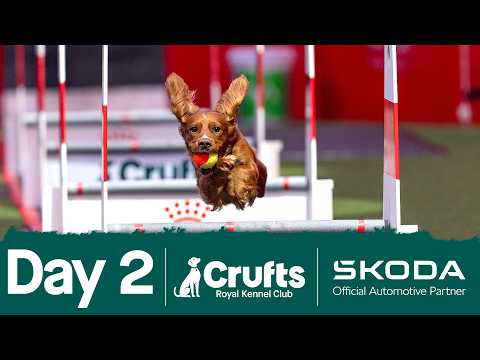 Day 2 Live 🔴 | Crufts 2026