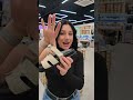 Шльопанці жіночі замшеві 594207 Сірі Відео