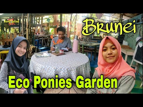 , title : 'Eco Ponies Garden | penginapan bernuansa pertanian dan pedesaan di Brunei'