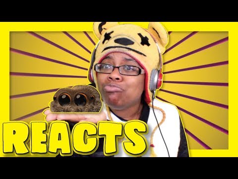 Lucas the Spider - Its Cold Outside Reaction Video