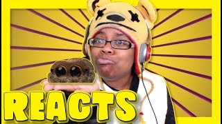 Lucas the Spider - Its Cold Outside Reaction