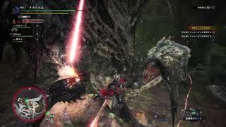 [MHWI]「死を纏うヴァルハザクの討伐」　初見攻略