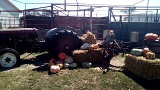 Klausmeyer Farm & Pumpkin Patch in Kansas