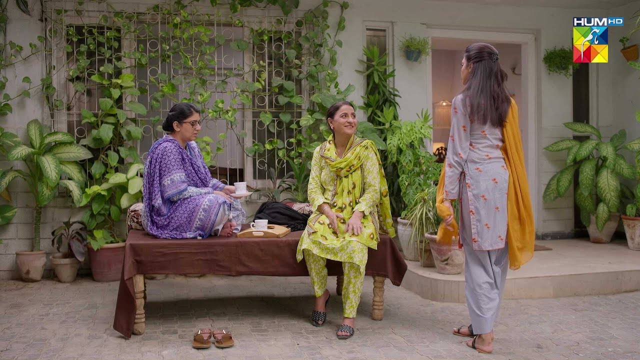 Daam e Mohabbat Ep 01 | Strong Performances Scene | HUM TV