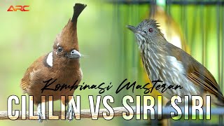 Download lagu MASTERAN CILILIN VS SIRI SIRI FUL NEMBAK mp3