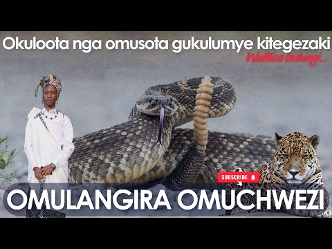 Okuloota Nga Omusota Gukulumye Kitegezaki Wuliliza