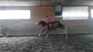 Maija ja Hertta jumppa