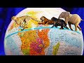Life On The Line: Exploring Wildlife On The Equator | WILD 24 | Real Wild