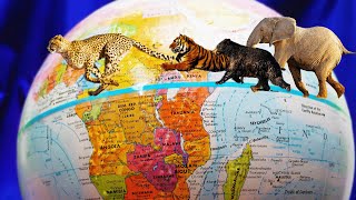 Life On The Line: Exploring Wildlife On The Equator | WILD 24 | Real Wild