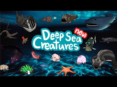 NEW Deep sea animals | What kind of fish lives under the deep sea? | Kids Draw