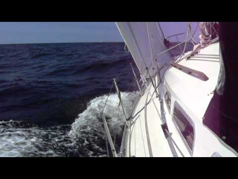 Quick Livener w akcji. Sigma 362