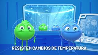 Enterogermina Tratamiento de la Diarrea 12cápsulas