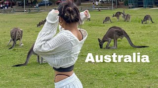 Melbourne on digicam📸🎞️| new year | hiking