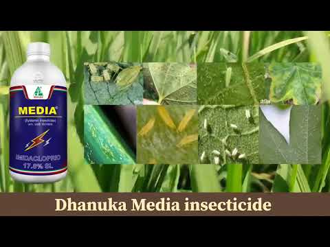 Dhanuka Media Insecticide