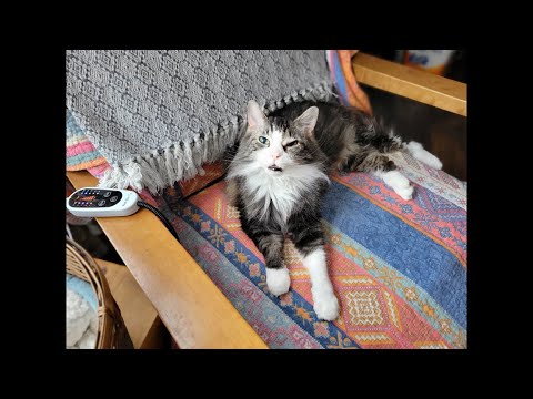 Glamour Health Update 12 13 25