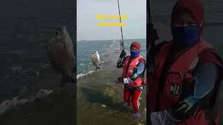 Download lagu spot dam merah semarang mancing ikan patik #vidioshorts mp3
