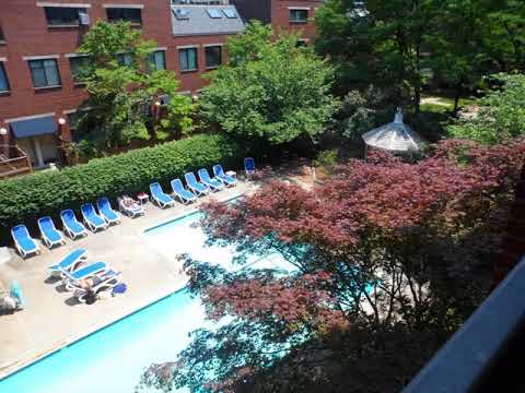 85 Brainerd Road, Boston, MA 02134 - Condo - Real Estate - For Rent