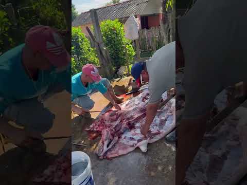 Las Decimas de Tute #viral #youtubeshorts #talent #vacation