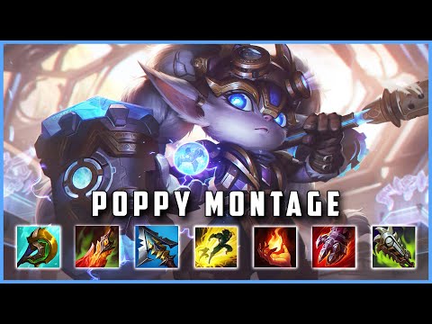 Poppy Montage 2021 - SOLO CARRY