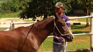 Miniatura do vídeo