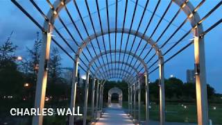 Breathe Carolina-Heart of the city