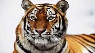 Jakwob ft. Rationale - No Place Like Home